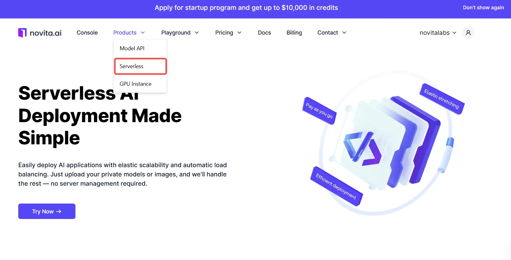 Página de Visão Geral do Serverless da Novita AI