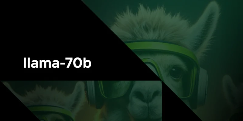 Why Loading llama-70b is Slow: A Comprehensive Guide to Optimization