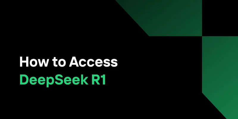 How to Access DeepSeek R1 Locally or via API: A Complete Guide