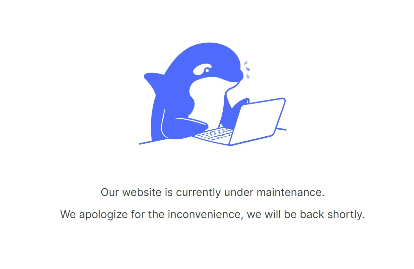 deepseek can not work