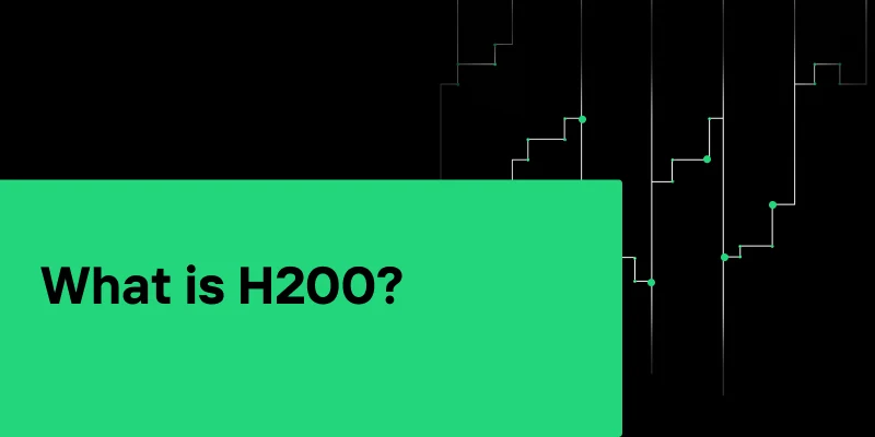 Is the H200 Overkill or a Must-Have? Let’s Find Out