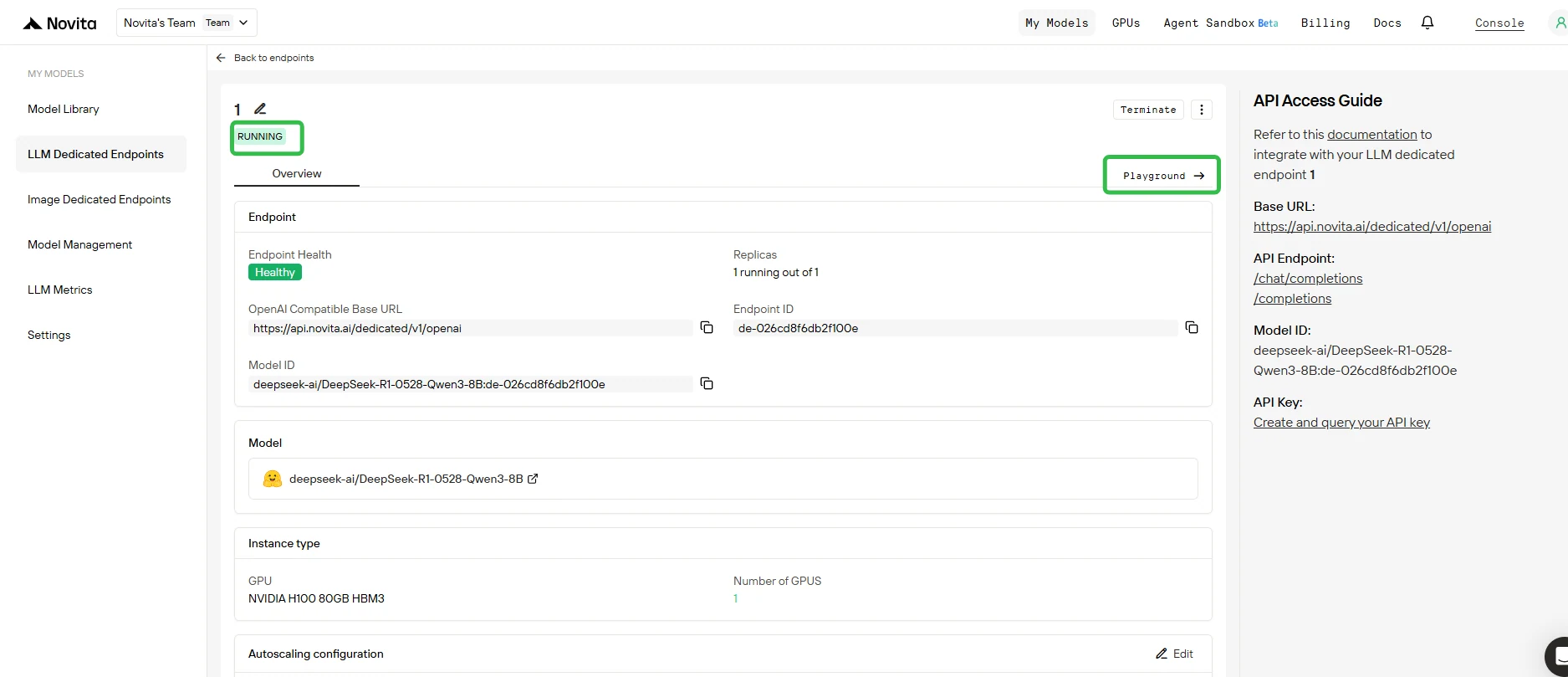Dedicated endpoint Playground