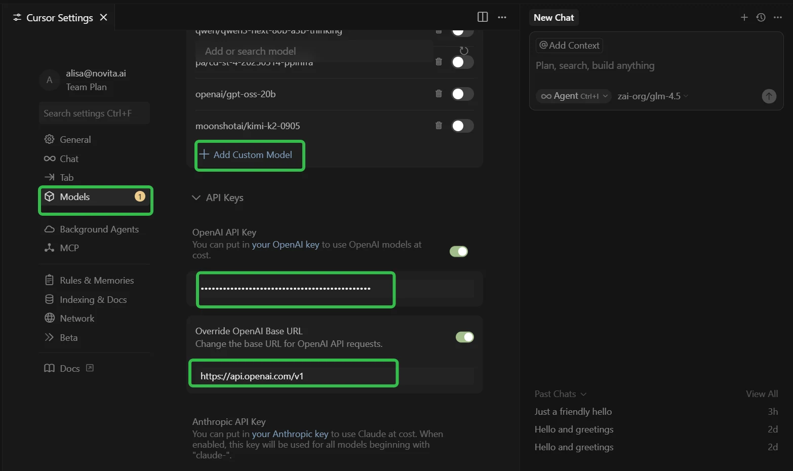 cursor model setup