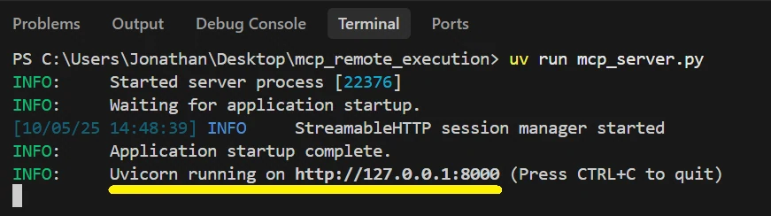 run the mcp server