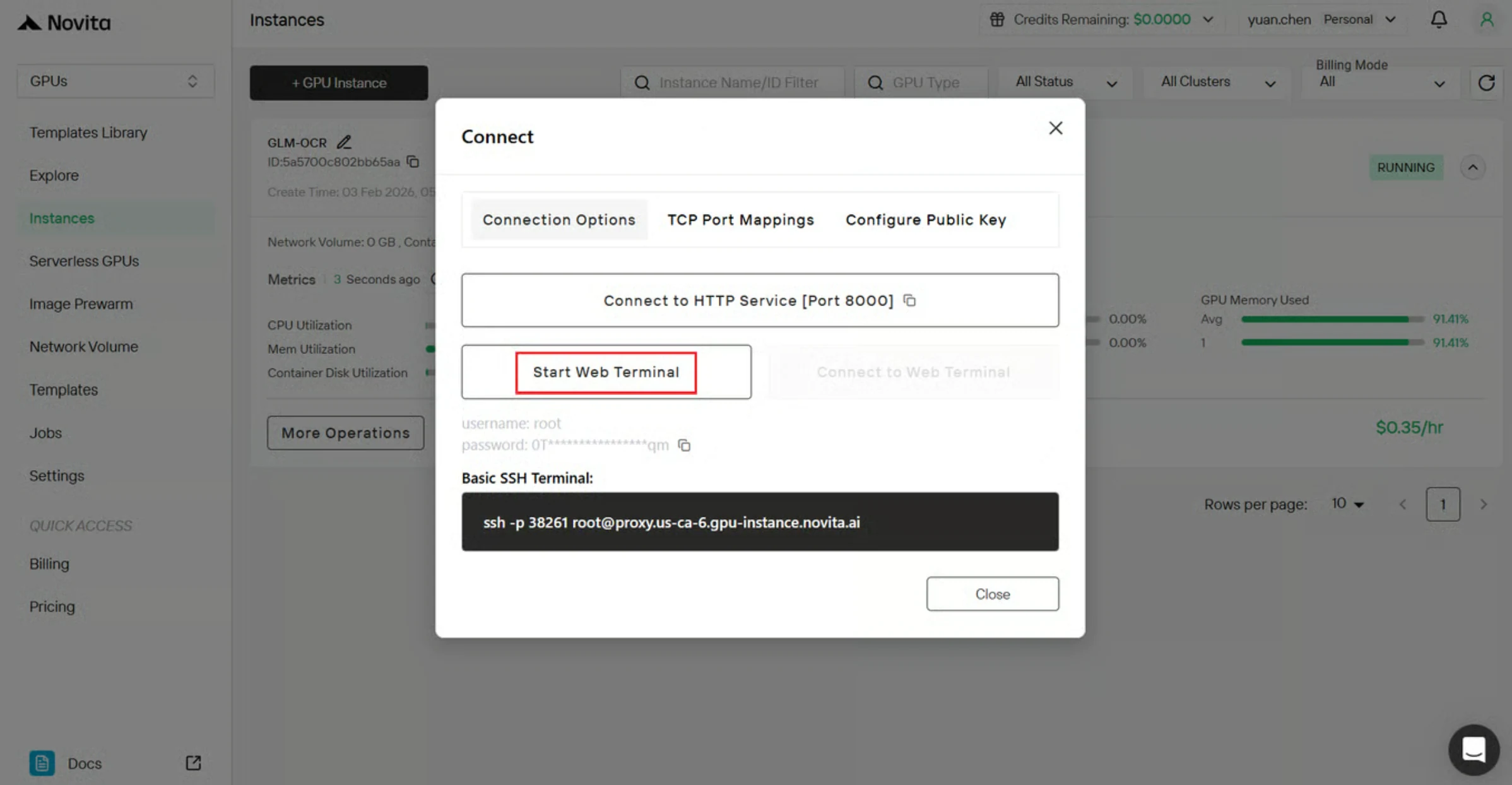 seleccionando Iniciar Terminal Web, puedes acceder al entorno de ejecución para depuración, pruebas e integración.