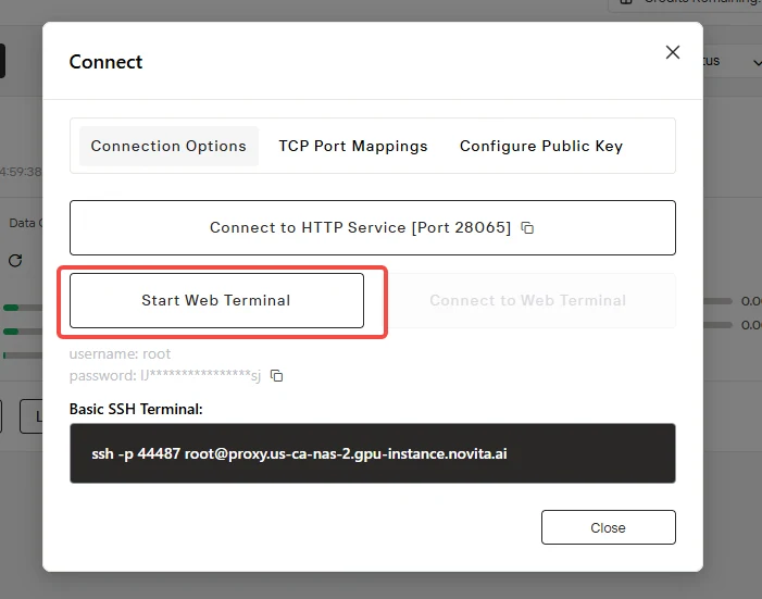 "Connect"를 클릭한 다음 "Start Web Terminal"을 클릭하여 배포에 액세스하세요