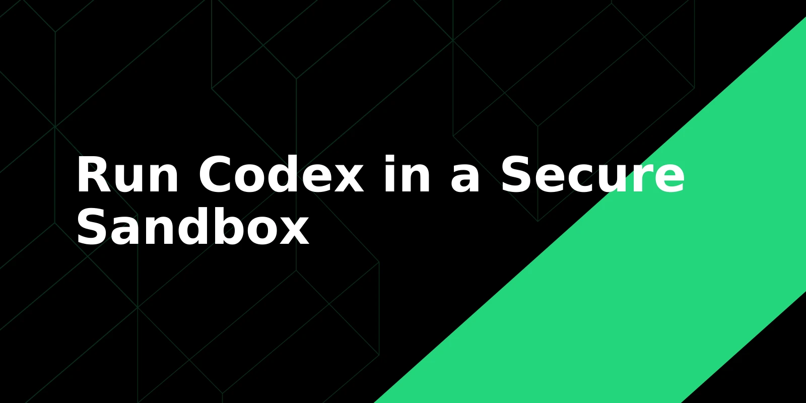 Run Codex or a Coding Agent in a Secure Sandbox